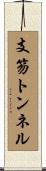 支笏トンネル Scroll