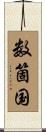 数箇国 Scroll