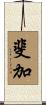 斐加 Scroll