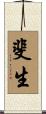 斐生 Scroll