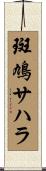 斑鳩サハラ Scroll