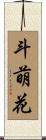 斗萌花 Scroll