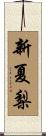 新夏梨 Scroll