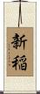 新稲 Scroll