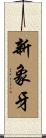 新象牙 Scroll