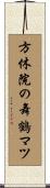 方休院の舞鶴マツ Scroll
