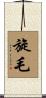 旋毛 Scroll