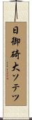 日御碕大ソテツ Scroll