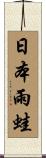 日本雨蛙 Scroll
