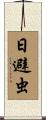 日避虫 Scroll