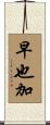 早也加 Scroll