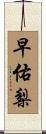 早佑梨 Scroll