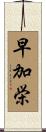 早加栄 Scroll
