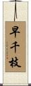 早千枝 Scroll