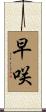 早咲 Scroll