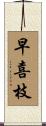 早喜枝 Scroll