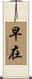 早在 Scroll