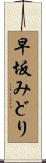 早坂みどり Scroll