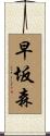 早坂森 Scroll