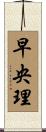 早央理 Scroll