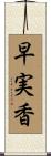 早実香 Scroll