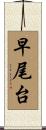 早尾台 Scroll