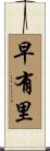 早有里 Scroll