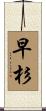 早杉 Scroll
