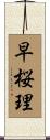 早桜理 Scroll