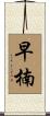 早楠 Scroll