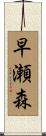 早瀬森 Scroll