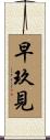早玖見 Scroll