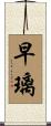 早璃 Scroll