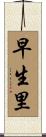 早生里 Scroll