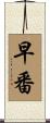 早番 Scroll