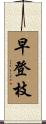 早登枝 Scroll