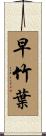 早竹葉 Scroll