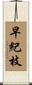 早紀枝 Scroll