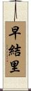 早結里 Scroll