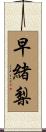 早緒梨 Scroll