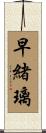早緒璃 Scroll