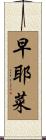 早耶菜 Scroll