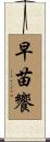 早苗饗 Scroll
