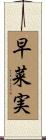 早菜実 Scroll