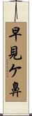 早見ケ鼻 Scroll