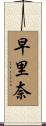 早里奈 Scroll