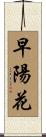 早陽花 Scroll