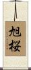 旭桜 Scroll