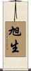 旭生 Scroll