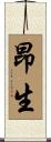 昂生 Scroll